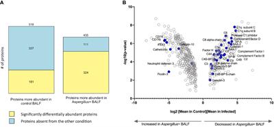 Proteomic Analysis of Humoral Immune Components in Bronchoalveolar Lavage of Patients Infected or Colonized by Aspergillus fumigatus